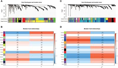 Exploring the molecular mechanisms and shared gene signatures between rheumatoid arthritis and diffuse large B cell lymphoma